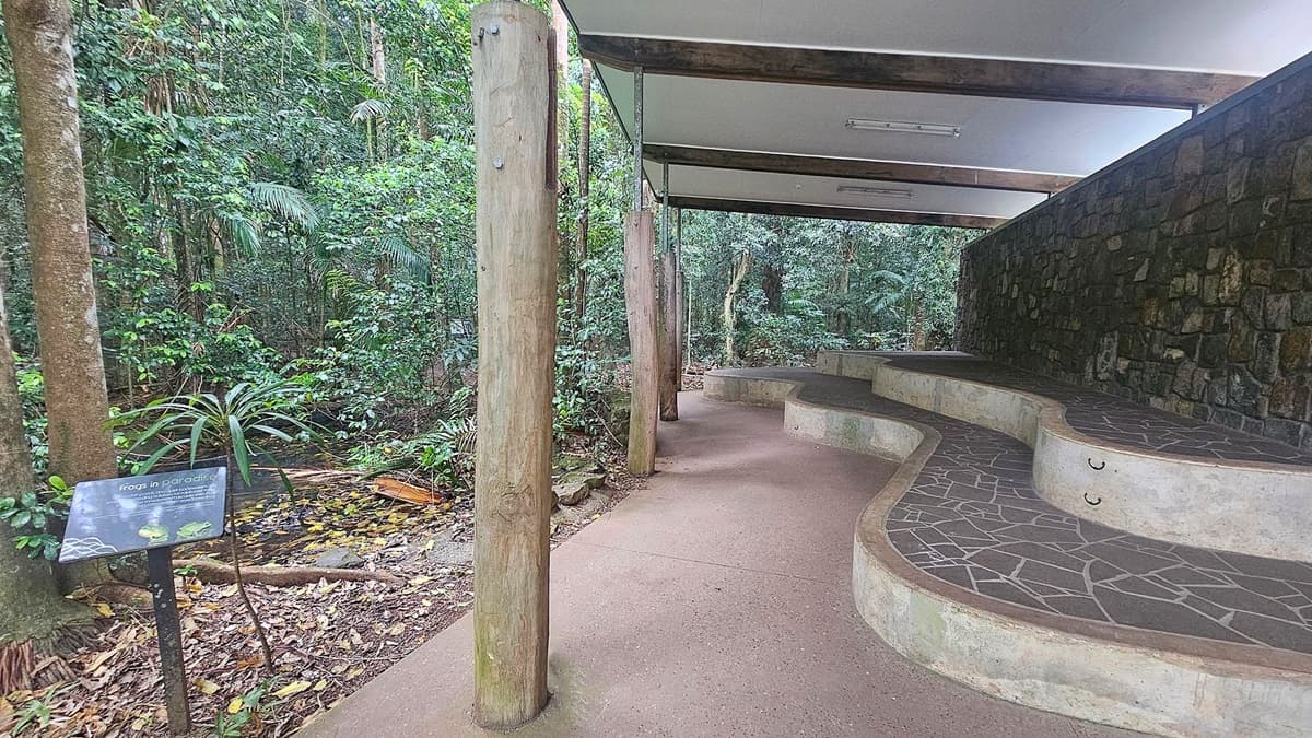 A covered outdoor area with a stone wall on the right and a series of curved, tiered seating made of concrete and stone. The floor is a reddish-brown path. On the left, there are wooden pillars supporting the roof and a sign titled "frogs in paradise" near a small pond. The background is dense with green foliage and trees, creating a lush forest setting. The ceiling is flat and white with exposed beams.