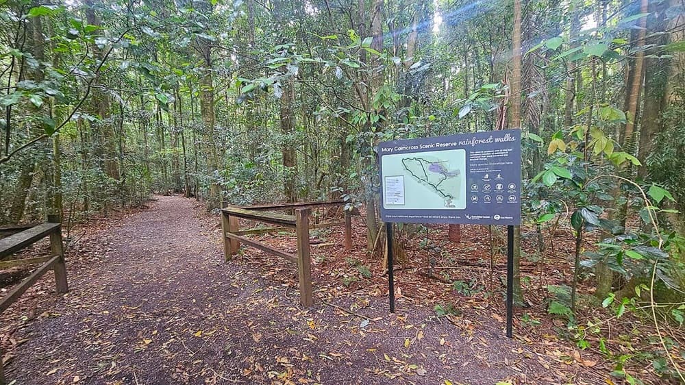 A forest path surrounded by dense trees and foliage. On the right, there's a sign for Mary Cairncross Scenic Reserve rainforest walks, featuring a map and information. The path is covered with leaves and dirt, and wooden railings are visible on the left. The trees are tall with a variety of green leaves, creating a lush canopy overhead.