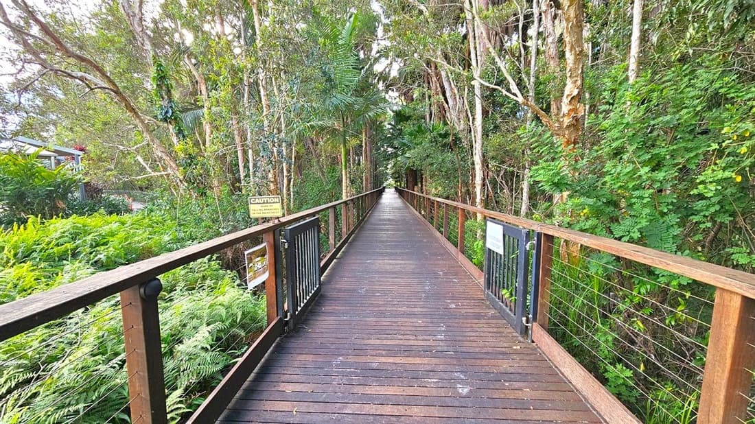 A long wooden boardwalk stretches into the distance, flanked by dense greenery on both sides. Tall trees with slender trunks and lush foliage create a canopy overhead. On the left, a building is partially visible through the trees. The boardwalk has railings with wire mesh, and there are caution signs attached to them. The floor is made of wooden planks, and the path is straight, leading into a more densely wooded area.