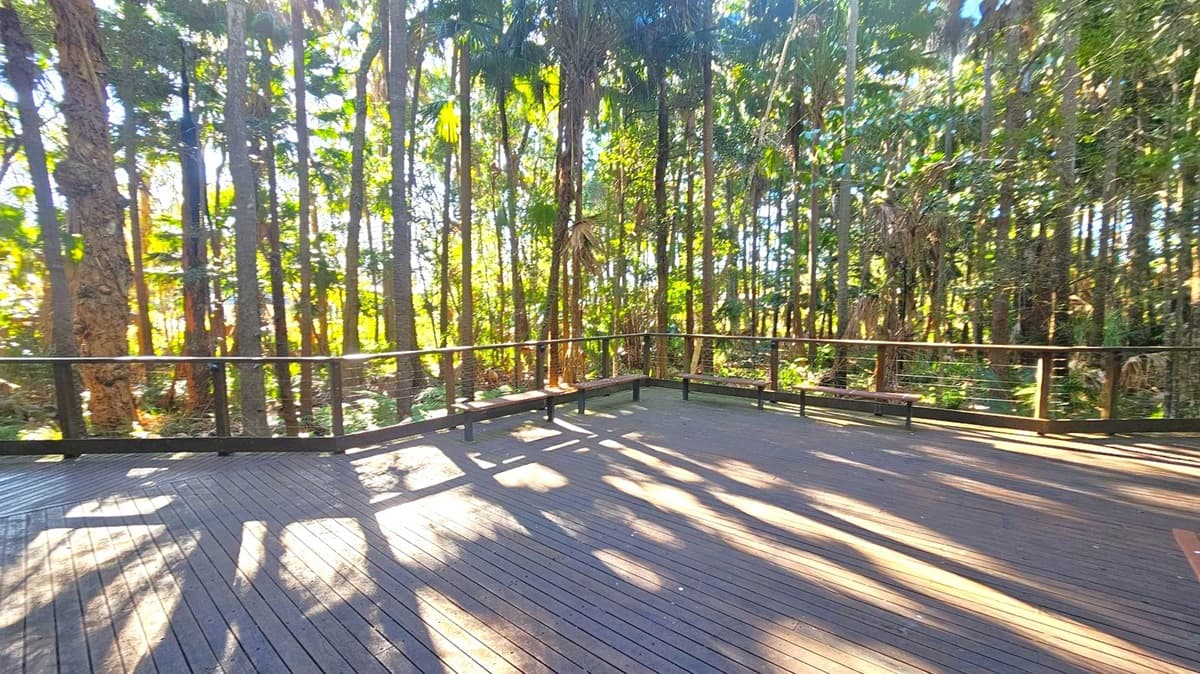 A wooden deck with railings is in the foreground, casting shadows on the floor. In the background, there is a dense forest with tall trees and abundant green foliage. Sunlight filters through the leaves, creating dappled light patterns on the deck. The scene is tranquil and surrounded by nature.
