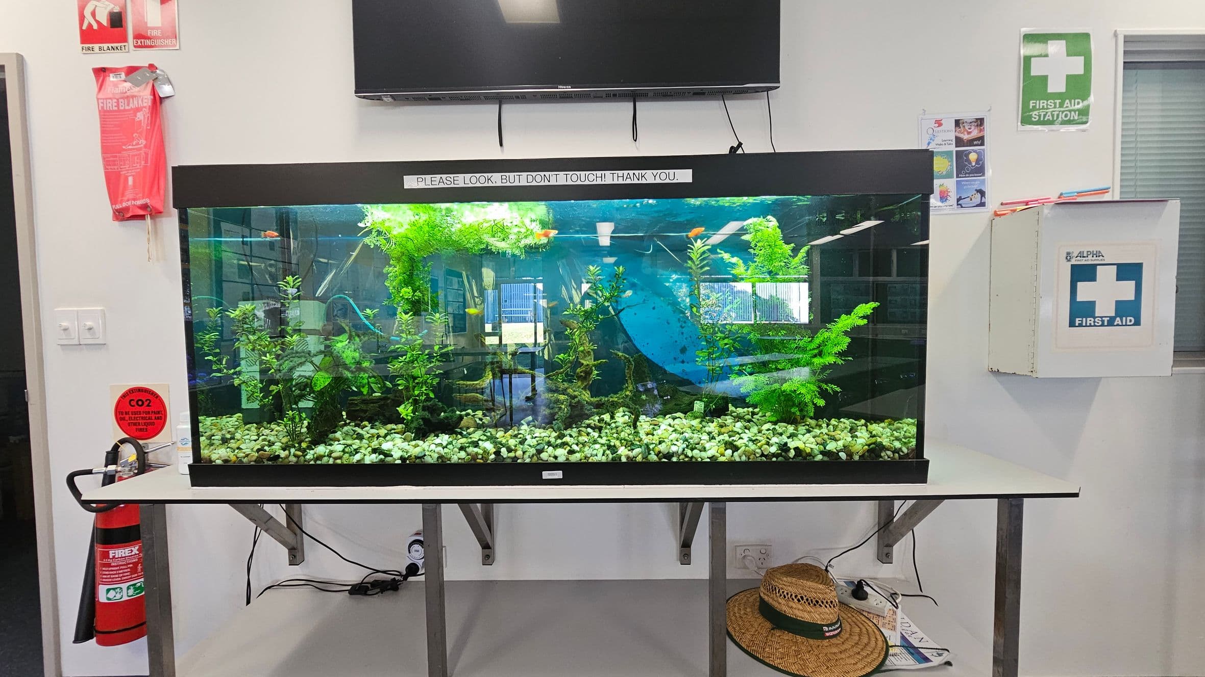 A large aquarium sits on a white table, filled with green aquatic plants and a few small fish. Above it, a sign reads, "PLEASE LOOK, BUT DON'T TOUCH! THANK YOU." On the left wall, a fire blanket and a CO2 fire extinguisher are visible. On the right, a first aid station is mounted, with a green sign above it. Below the table, a straw hat and some cables are present. A television is mounted on the wall above the aquarium.