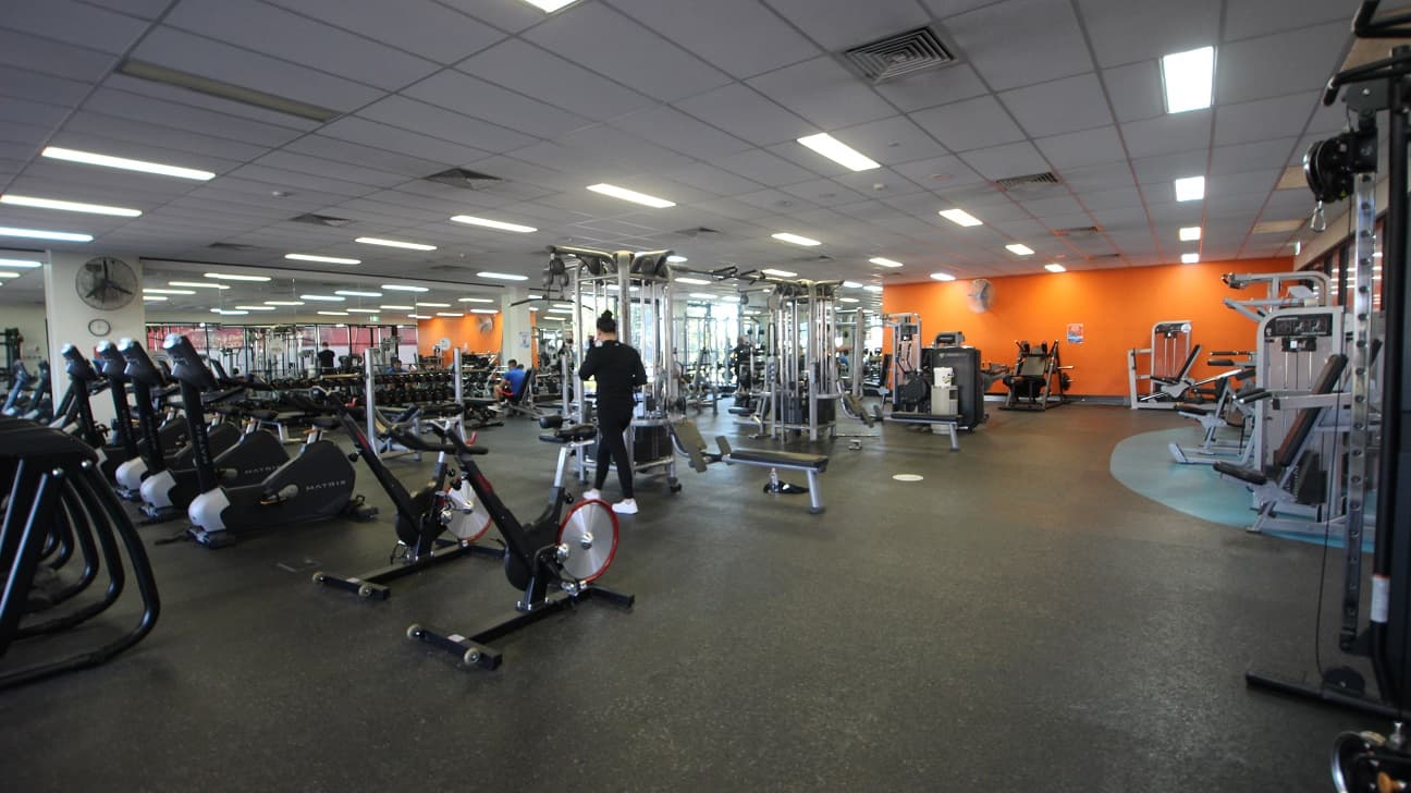 Resistance training equipment is directly in front, and cardio equipment such as treadmills are positioned across the floor-to-ceiling glass windows. The gym is a modest space with modern equipment, low ceilings, and bright lighting with grey rubber flooring. This corner is directly opposite the orange wall.