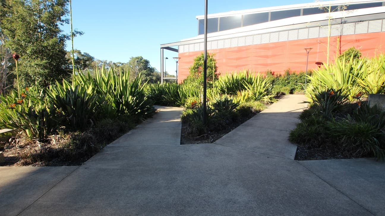 A diverging concrete pathway in between the garden. The garden is full of plants from the succulent family mixed with bushes. There are also large trees and lamp posts in this area.