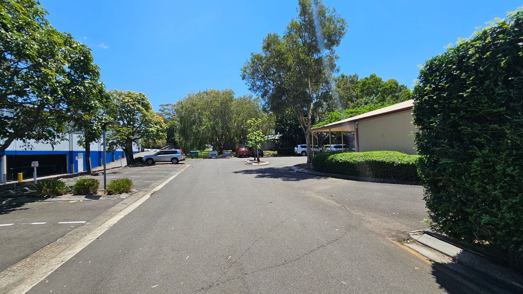 A car park with several vehicles is surrounded by trees and bushes. On the left, there is a blue and white building with a few parked cars. On the right, a beige building is partially visible, with a hedge and more parked cars. The ground is paved, and there are patches of grass and small plants along the edges. In the background, dense trees provide shade.
