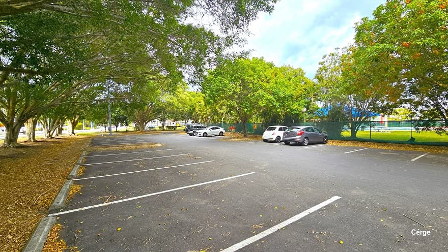 Road adjacent to a local school near Murrumba Downs Swimming Pool and leading to the carpark area. Line on the side of the road is a grey wooden boardwalk guide. The dedicated carpark is heavily shaded by Moreton Bay Fig trees and Golden Palms. Tall lamp posts can be found around the area.