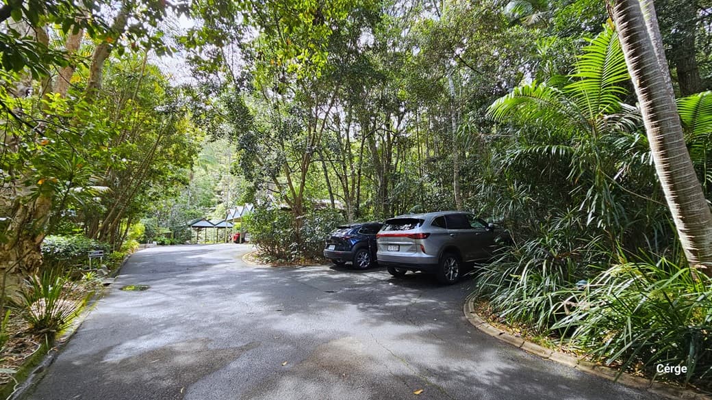 Upon arrival at Narrows Escape Rainforest Retreat, a designated car park on the right accommodates a grey and a black car. To the left, a small signage directs towards the office area. The surroundings boast large trees such as coconut and palm trees. Moving forward, shaded carports come into view.