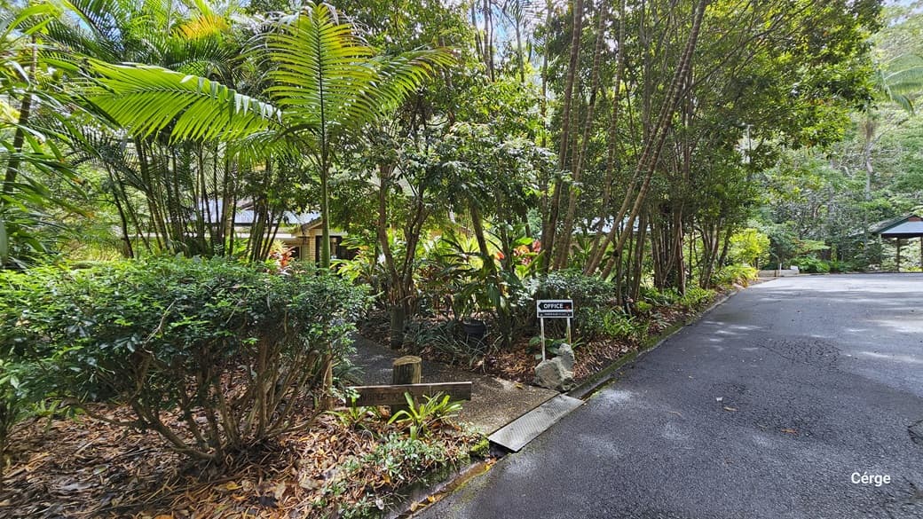 Upon arrival at Narrows Escape Rainforest Retreat, a small sign on the left guides towards the reception area. There is a bitumen path that leads to reception. The area is surrounded by diverse trees such as coconut and palm trees, along with shrubs. Further ahead, shaded carports come into view.
