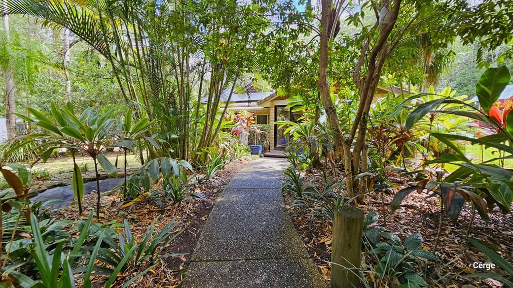 Upon arrival at Narrows Escape Rainforest Retreat, a bitumen path guides the reception area. The path is adorned with various ornamental plants and trees of diverse kinds and colors. A brick building with a glass door stands straight ahead, accompanied by an accessible ramp.