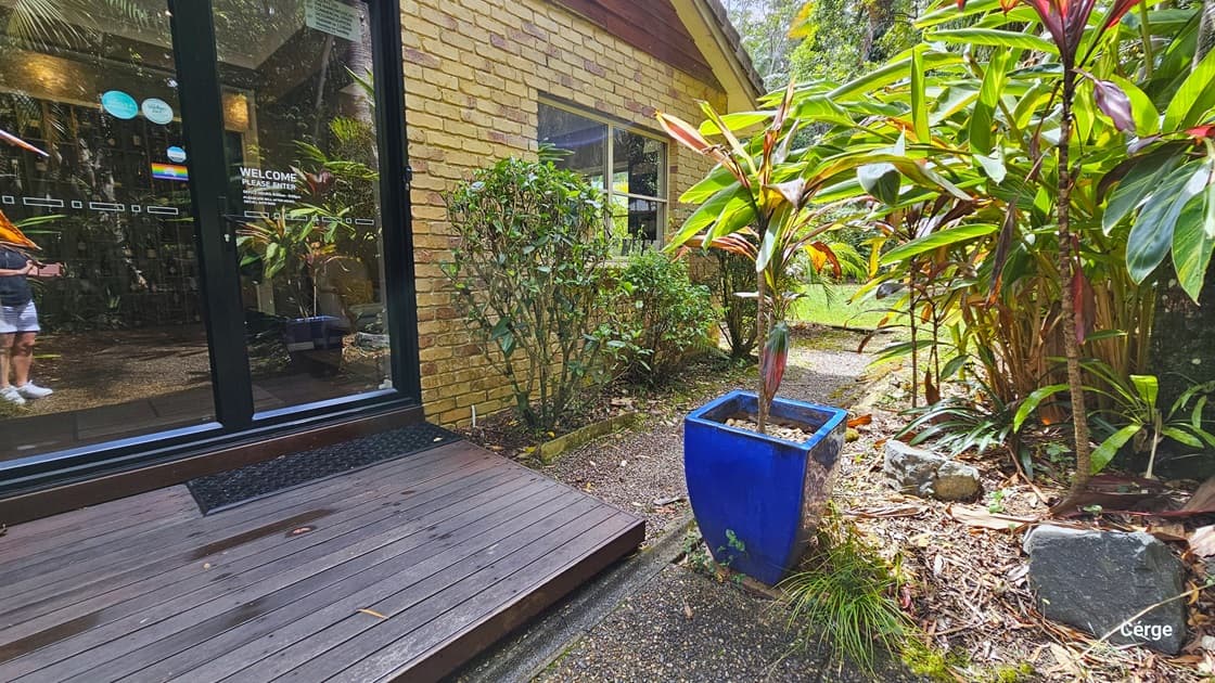Upon arrival at Narrows Escape Rainforest Retreat, the bitumen path leads to a brown brick building with a sliding door that opens inward. Access to the reception area is facilitated by a small ramp and two steps, with a non-slip mat placed at the door. To the right, towering ornamental plants, including a banana fig plant in a blue planter box, are present. More shrubs border the side of the house, accompanied by huge stones and dry leaves on the right.