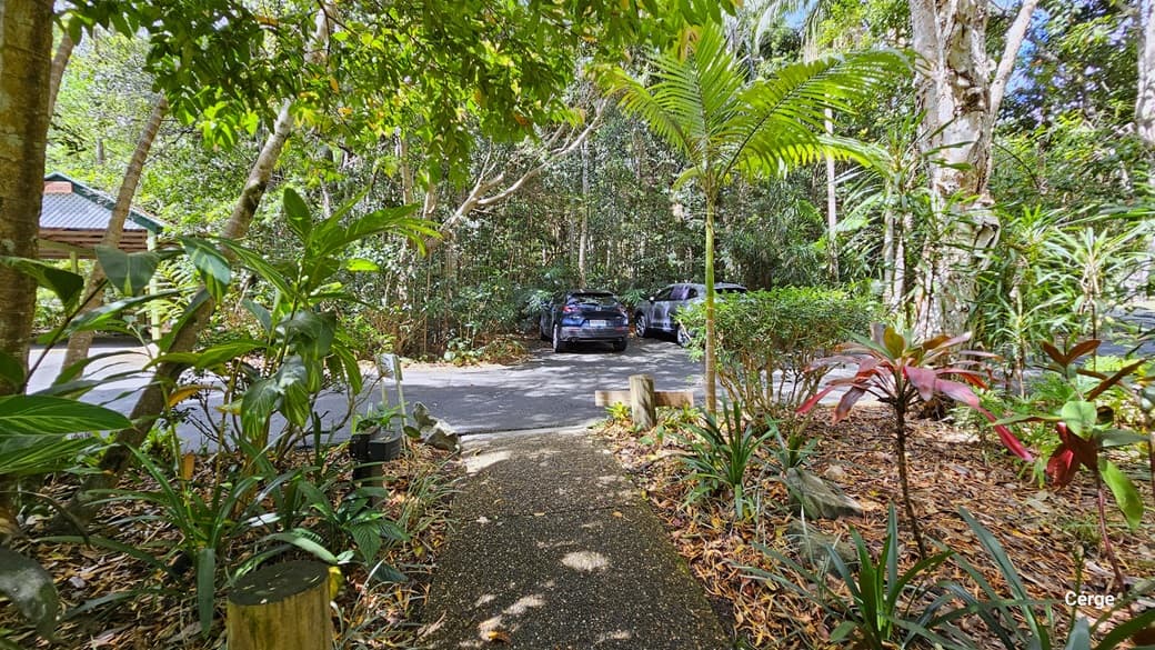 Upon arrival at Narrows Escape Rainforest Retreat, a small "Office" sign is on the left with a lamp post beside it. A bitumen path leads to reception, surrounded by diverse trees, including coconut and palm trees, along with ornamental plants and shrubs. Two cars are parked in the designated car park area on the right, and to the left, there is a shaded carport.