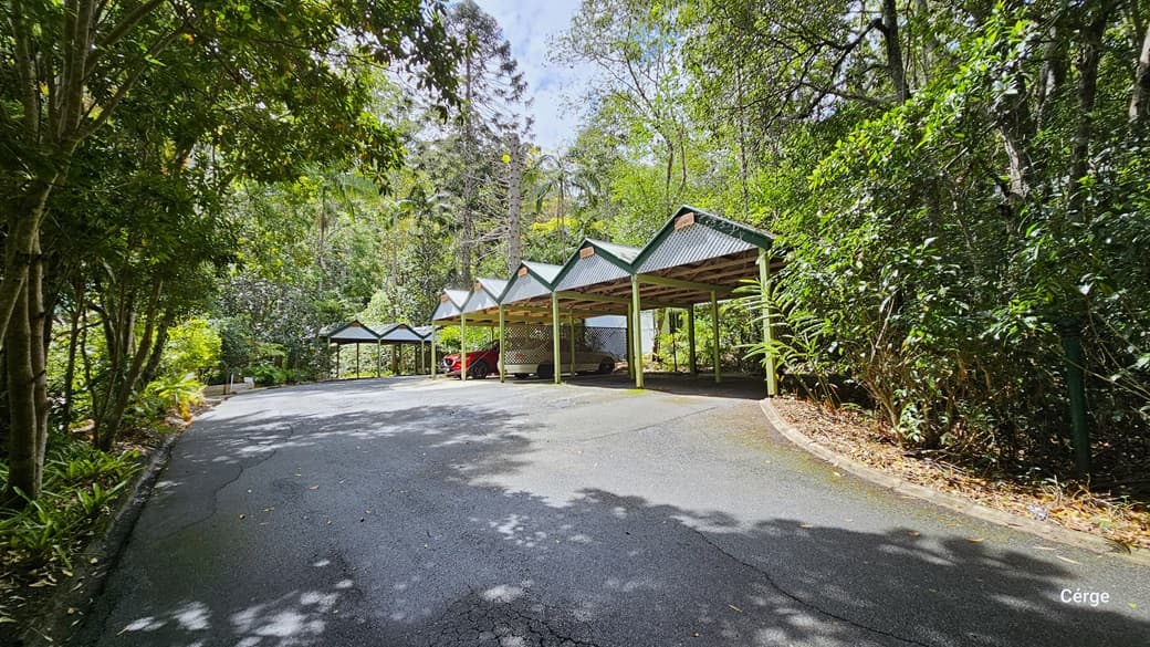 Upon arrival at Narrows Escape Rainforest Retreat, rows of shaded carports line the right side of the road. A red and a white car are currently parked. The area is surrounded by diverse trees, including coconut and palm trees, along with ornamental plants and shrubs. Further ahead, more shaded carports are visible.