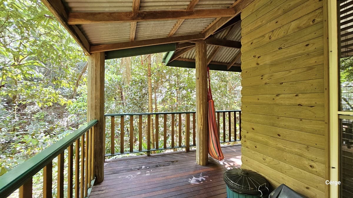 This view displays the verandah of Dove Cottage, featuring a timber plank wall design, glass windows, a corrugated roof, and timber floors. A green-painted metal railing encloses the verandah on the left, while two rubbish bins are situated on the right. A colourful hammock is suspended from one of the central pillars. The surroundings are adorned with tall trees of various kinds.