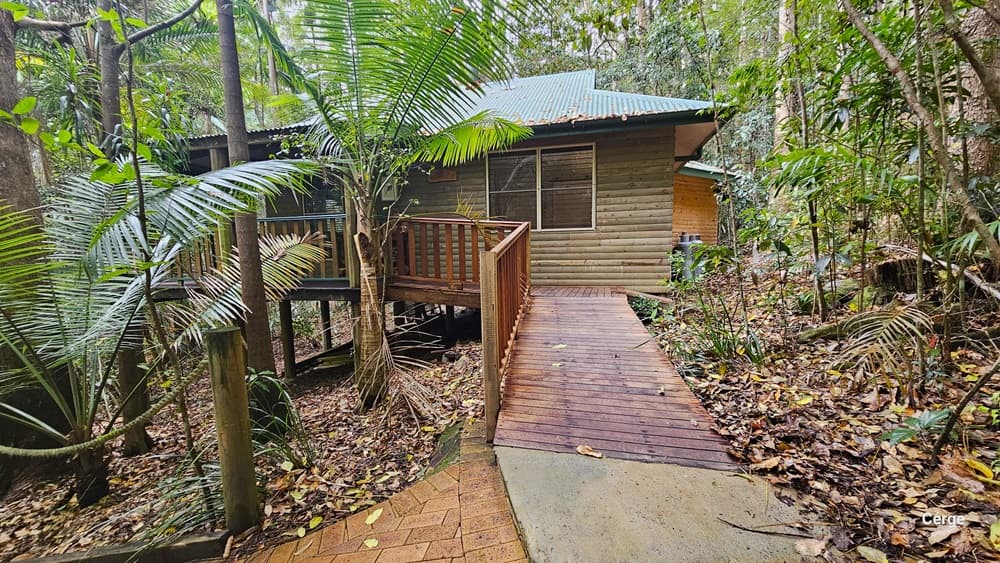 This view displays the exterior of Dove Cottage, featuring a wooden plank design and green corrugated roofing. The entrance ramp, made of timber with a steel railing, leads downwards. The brick path to the left declines, bordered by a rope bollard. The surroundings are adorned with palm trees, shrubs, trees, and vines, while dry leaves cover the ground.