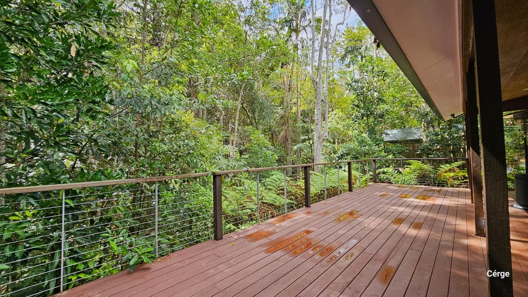 The verandah on the Rainforest Deck is a secure and spacious area with metal railings, featuring a floor made of timber planks. On the left side, there are various kinds of huge trees, some forest ferns, and other types of shrubs. Some of the tree branches extend towards the railing. Further ahead is another building with a green roof.