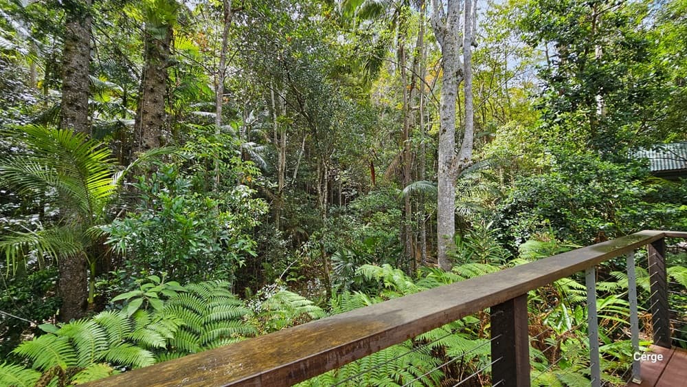 The spacious area is secured by metal railings and has a floor made of timber planks. On the left side, there are various kinds of huge trees, some forest ferns, and other types of shrubs. Some of the tree branches extend towards the railing. Further ahead is another building with a green roof.