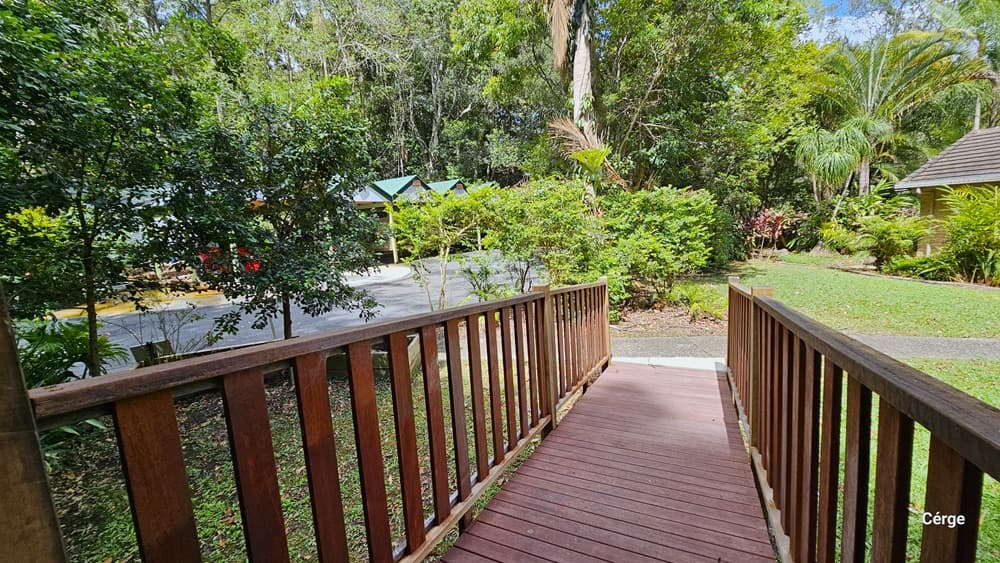 This section of the Rainforest Deck features the entrance, accessible via a timber ramp with a gentle incline and metal railings. At the end of the ramp, a concrete path leads in either direction. To the right is a grassy area with a view of a section of the reception building. To the left is the road, along with shaded carports. Tall trees of different kinds, shrubs, and grass surround the area.