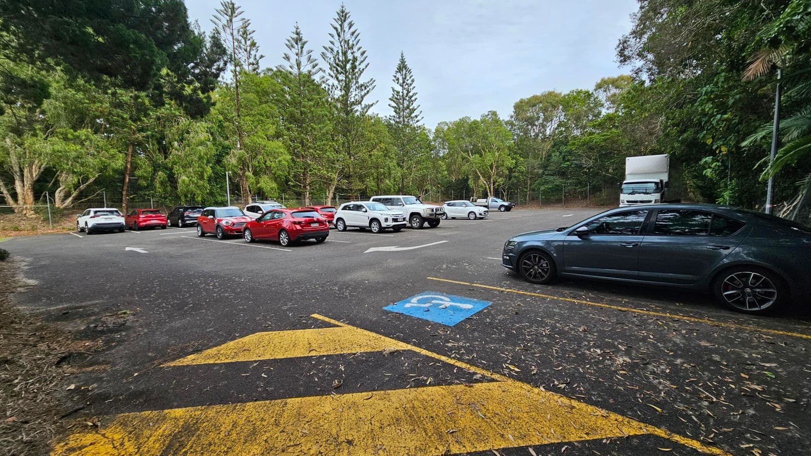 A car park surrounded by dense green trees. On the left, several cars, including red and white ones, are parked in a row. In the foreground, a dark car is parked next to a space marked with a blue disabled parking sign. The ground is covered with scattered leaves and debris. A large white truck is parked in the background on the right. The area is bordered by a wire fence and tall trees.