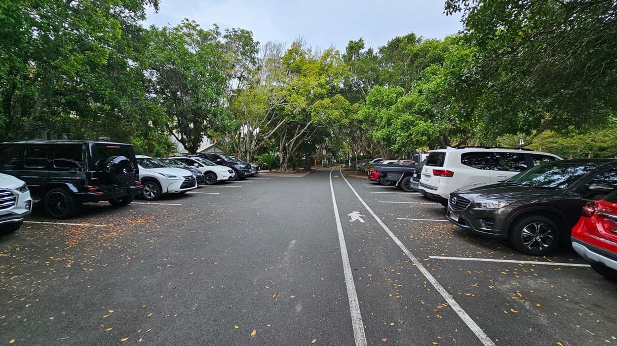 A car park with vehicles lined up on both sides. On the left, there are several cars, including a black SUV and a white car. On the right, more cars are parked, including a white SUV and a red car. The ground is covered with scattered leaves. In the centre, a road with white lines and a pedestrian symbol leads towards a background of dense green trees. The area is shaded by the trees overhead.