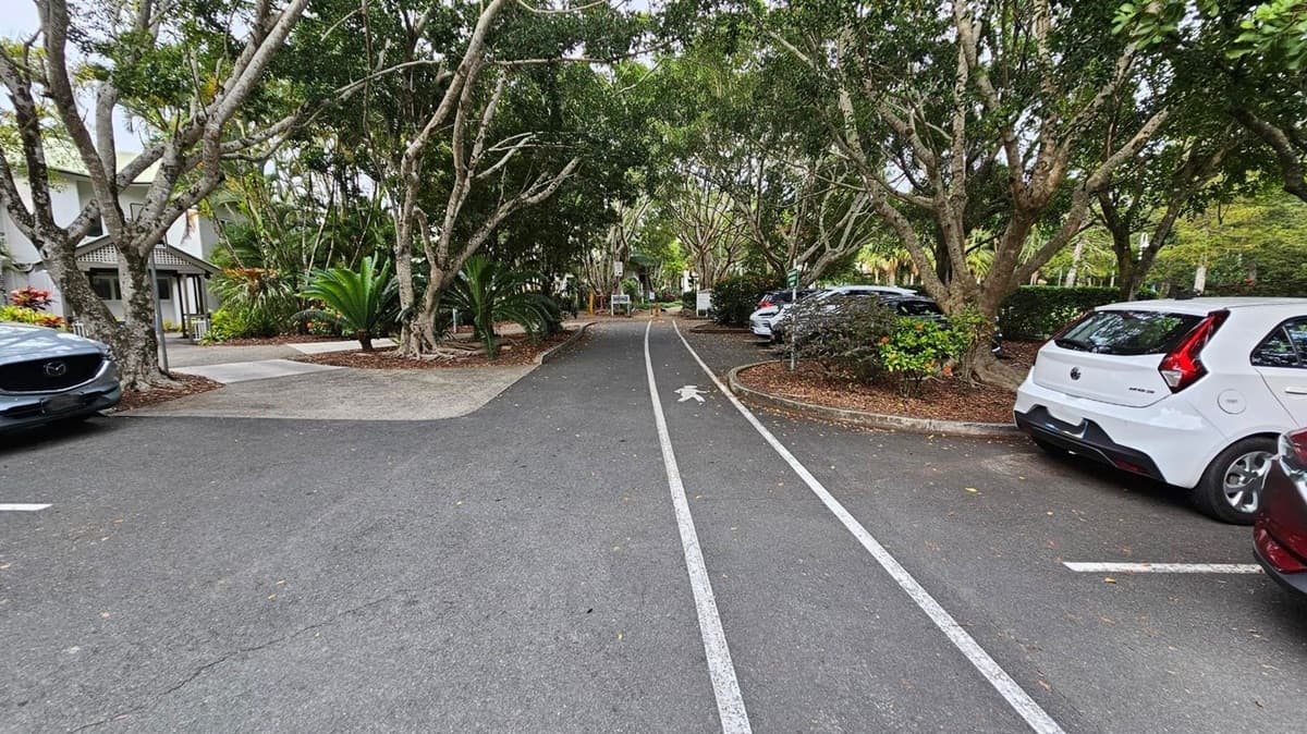 A narrow road lined with trees on both sides, creating a canopy overhead. On the left, a blue car is parked near a building with a grey roof, surrounded by lush greenery. On the right, several cars, including a white one, are parked along the road. The road has white lines and a pedestrian symbol painted on it. The area is shaded by the dense foliage of the trees.