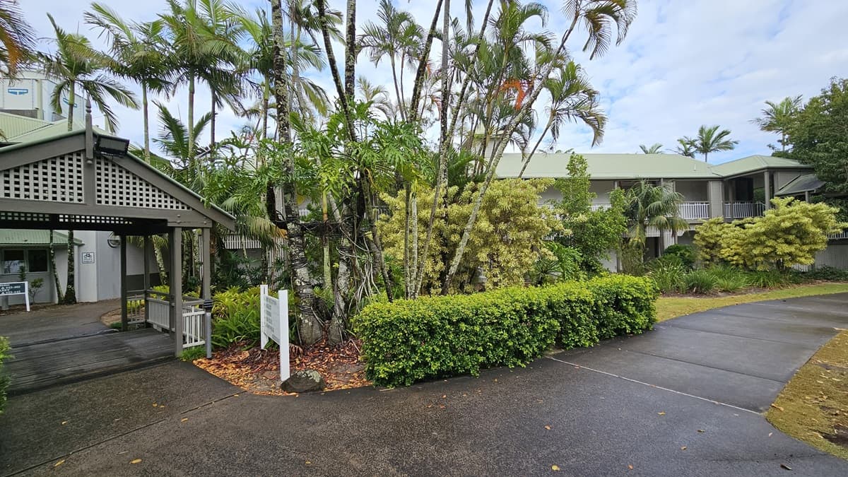 On the left, a covered walkway with a grey roof and wooden floor leads to a building with green roofs and white walls. To the right, a curved concrete path is bordered by neatly trimmed hedges and various green plants. In the middle, tall palm trees and dense foliage create a lush garden area. The floor is a mix of wooden planks and concrete, and the ceiling of the walkway is grey with a lattice design.