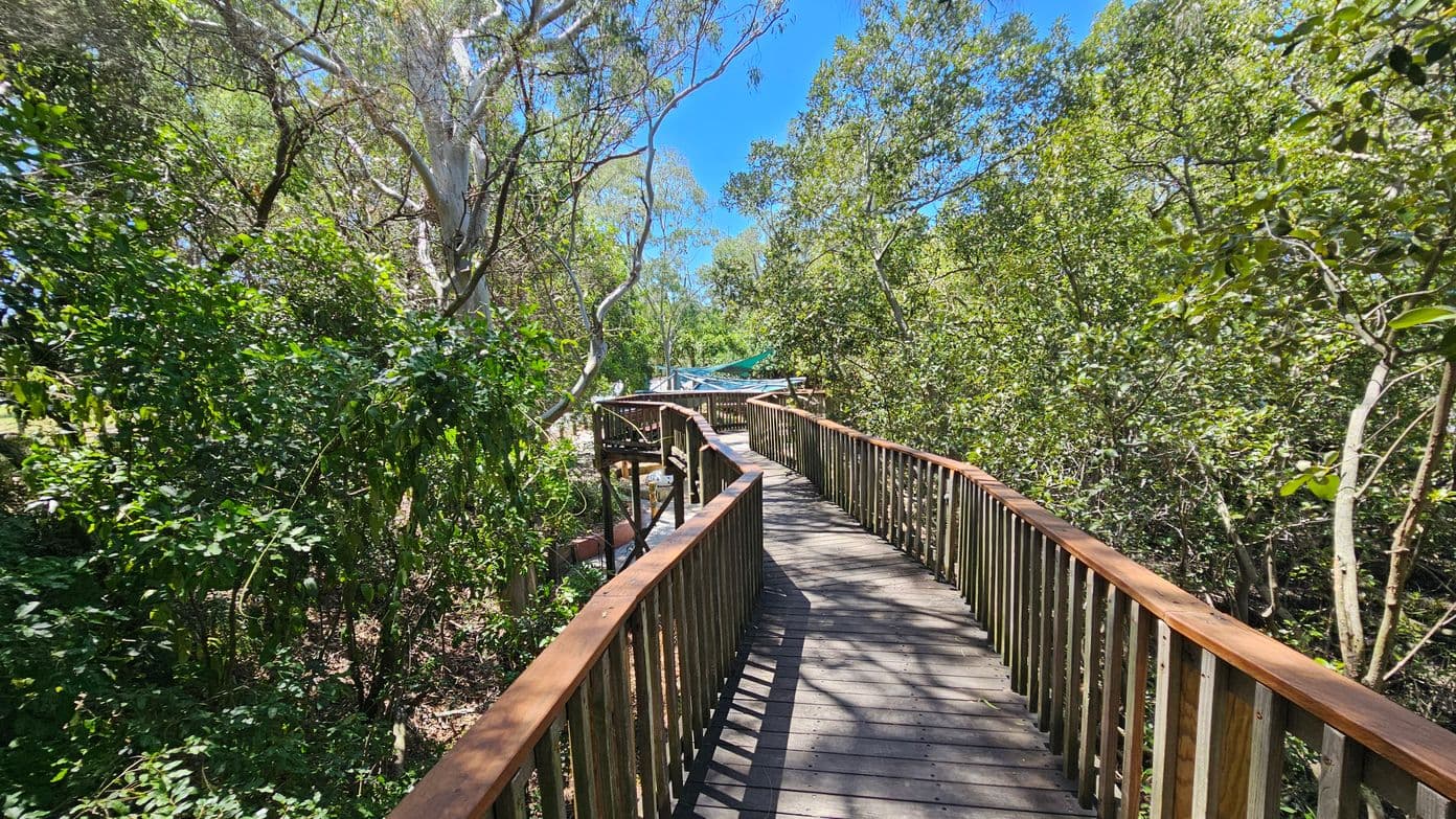 A wooden boardwalk with railings runs through a dense forested area. On the left, there are lush green trees and bushes, while on the right, similar vegetation lines the path. The boardwalk curves gently, leading towards a structure with a green canopy in the distance. Sunlight filters through the trees, casting shadows on the path. The sky is clear and blue, visible through the tree canopy.