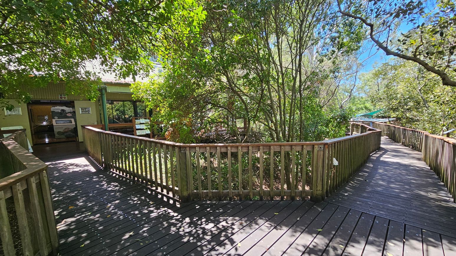 A wooden boardwalk with railings curves through a lush, green forested area. On the left, the boardwalk leads to a building with an open entrance, displaying informational posters. The right side of the boardwalk continues into the distance, surrounded by dense trees and foliage. Sunlight filters through the leaves, casting dappled shadows on the wooden planks.