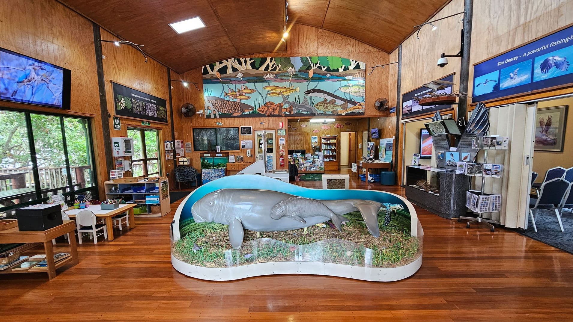 A spacious room with wooden floors and walls. In the centre, there's a large display featuring a model of a manatee and calf in a glass case with grass and water details. On the left, a children's play area with small tables and chairs. The right side has informational displays about ospreys, with images and text. The background features a colourful mural of aquatic life above a doorway leading to another room. The ceiling is wooden with recessed lighting.