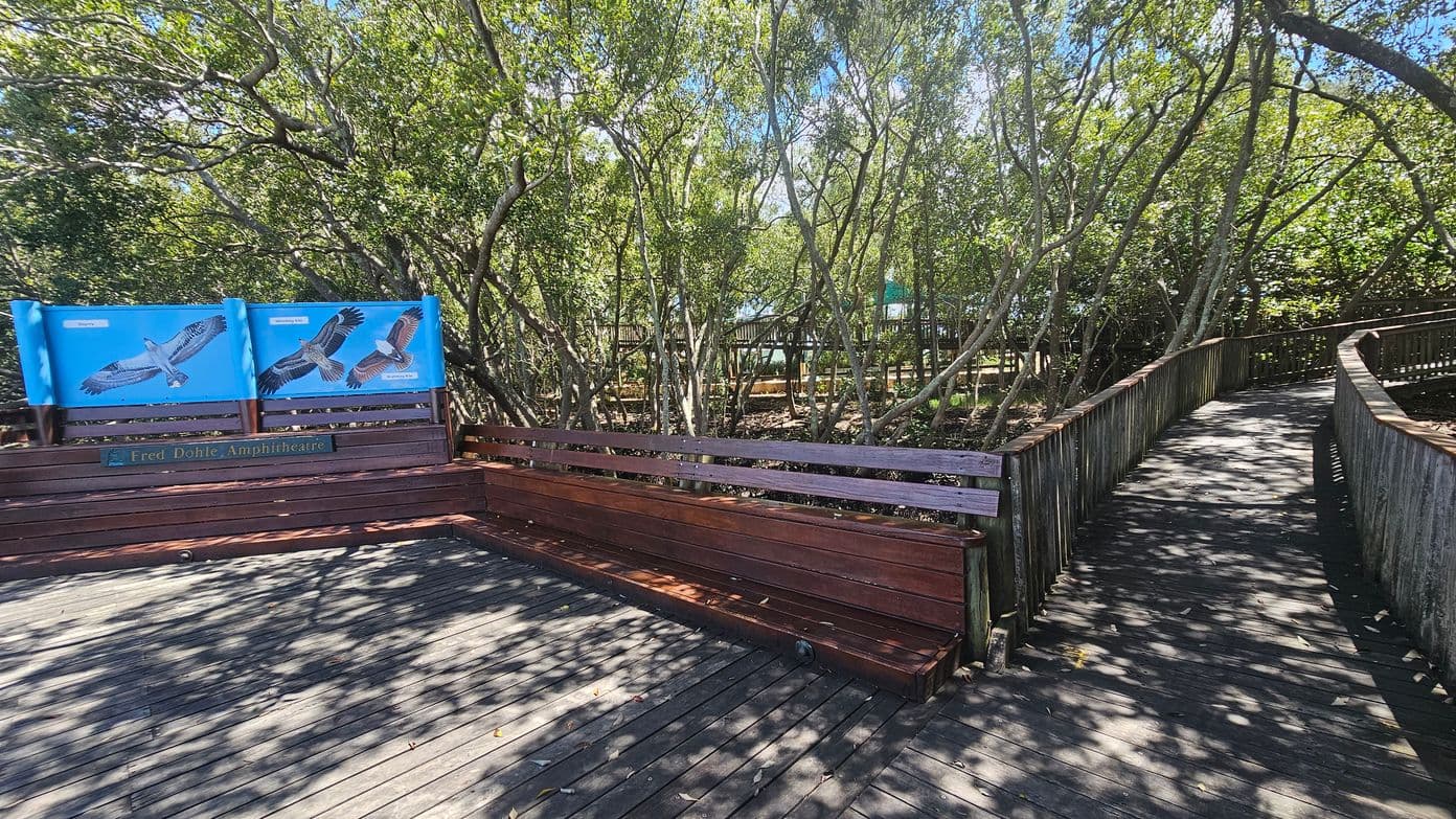 Wooden boardwalk with a bench on the left, featuring two blue signs with bird illustrations. The bench is part of the Fred Dohle Amphitheatre. Trees with dense foliage surround the area, casting shadows on the boardwalk. The path curves to the right, bordered by a wooden railing. The ground is covered with leaves and dappled sunlight.