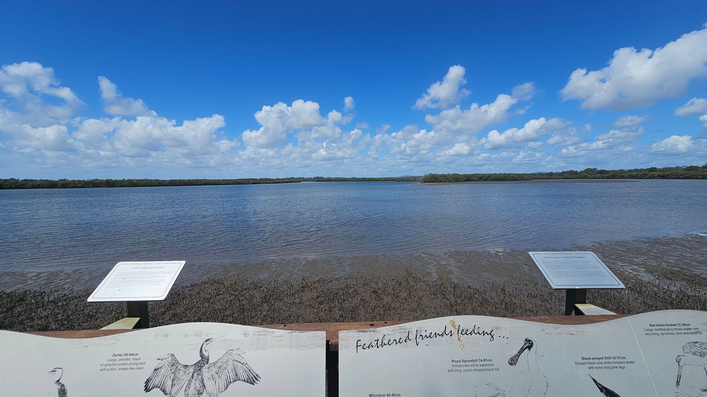 In the foreground, there are informational signs with illustrations and text about local bird species. The middle ground features a body of water with gentle ripples, bordered by a line of dense trees in the background. The sky is filled with scattered white clouds.