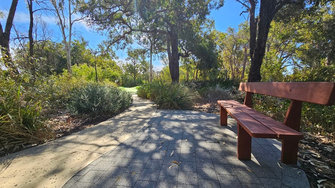 On the right, a bench is situated beneath a tree providing shade. The floor in this area is made of concrete bricks. To the left, a concrete path ascends to another section of green. Tall and mature trees, along with native plants and grass, surround the area.