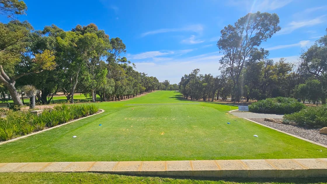 The golf course area presents a panoramic view with a large expanse of green, combining natural grass and synthetic turfs. The putting green is centrally positioned. Tall trees flank both the right and left sections. A concrete path crosses the green. On the right, a landscape features plants and shrubs, complemented by large rocks and pebbles. A visible sign adds to the scene.
