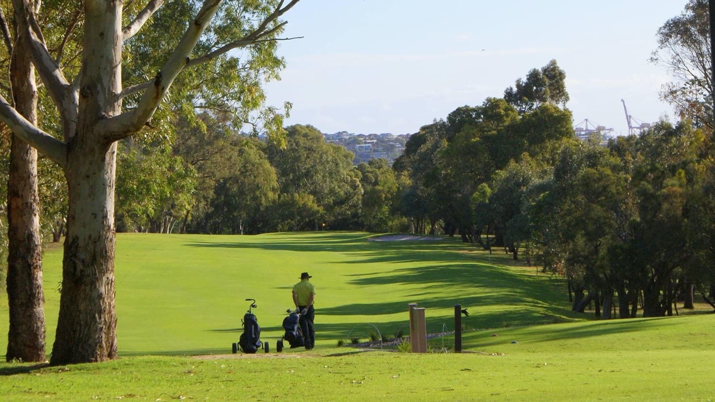 The golf course area offers a scenic view with a hillside and a green consisting of natural grass and synthetic turfs. On the left stands a mature tree. To the right, two concrete bollards flank a garden lamp post. Additional trees are situated on the right. In the middle, a golfer stands with a golf bag nearby.