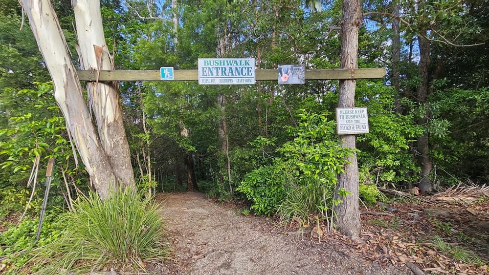 A wooden plank bears a sign reading "Bushwalk Entrance," alongside others fixed to tall trees. A dirt pathway leads into bushes, flanked by various trees and native grass. On the right, tall, mature trees stand, with some dry leaves scattered.