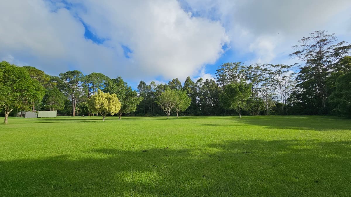 An open expanse with neatly trimmed green grass. Medium-sized trees with lush foliage line the centre, surrounded by more trees. Shade structures are visible further to the left.