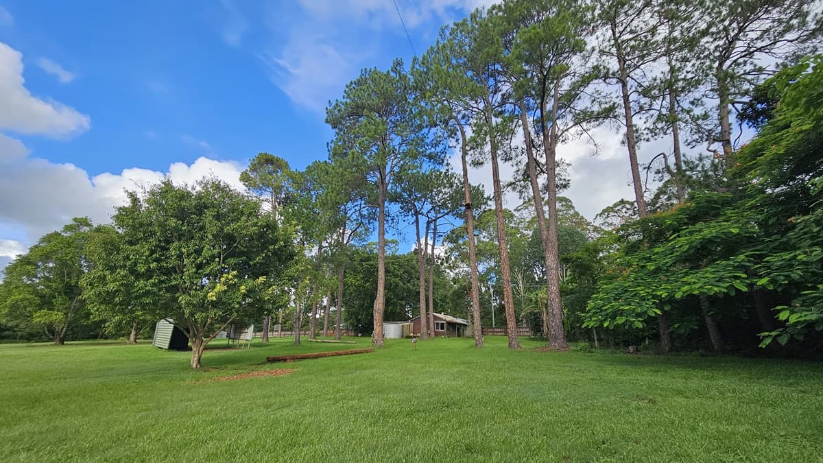 An open field with well-manicured green grass. Medium-sized trees with lush foliage are arranged in the centre, surrounded by additional trees. A shade structure is visible to the left, and facility buildings are positioned further ahead. Tall trees line the left side.