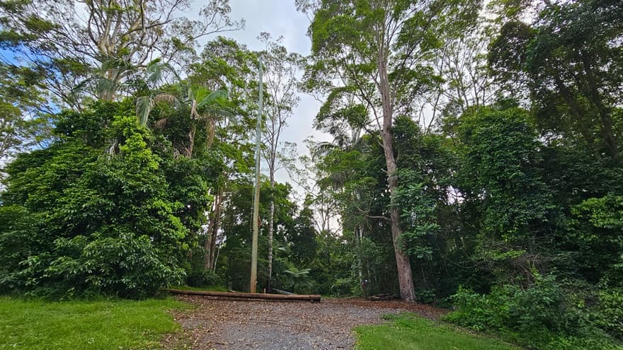 On the left, there's a well-manicured open field with lush green grass and medium-sized trees. The middle ground features an unpaved area with a long tree log. Towering trees dominate the area, accompanied by native grass and bushes.