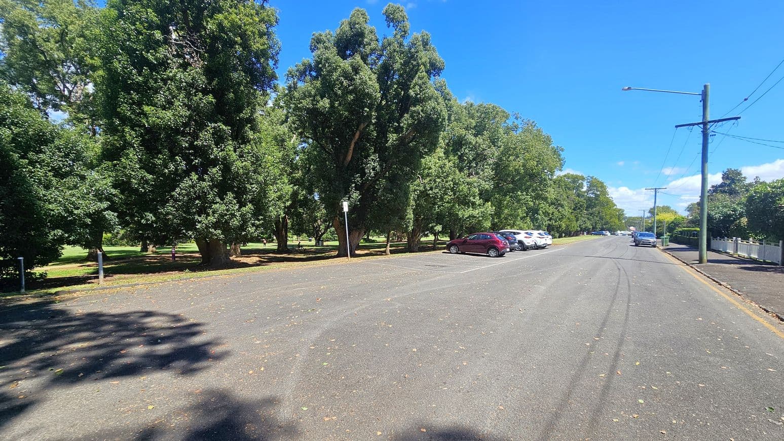 A quiet street with a row of parked cars on the right side, including a red car and several white cars. Tall trees with dense green foliage line the left side, casting shadows on the ground. The road is wide and appears to be made of asphalt, with some scattered leaves. A few utility poles with wires run along the right side, and a white fence is visible in the background. The sky is clear and blue.
