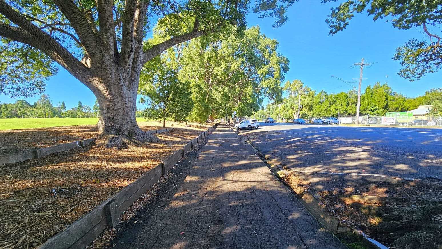 A wide footpath runs through the centre, bordered by large trees on the left, casting shadows on the ground. The trees have thick trunks and lush green foliage. To the right, a road with parked cars and a few moving vehicles is visible. The area on the left beyond the trees is a grassy field. The sky is clear and blue, and the ground is covered with fallen leaves and debris.