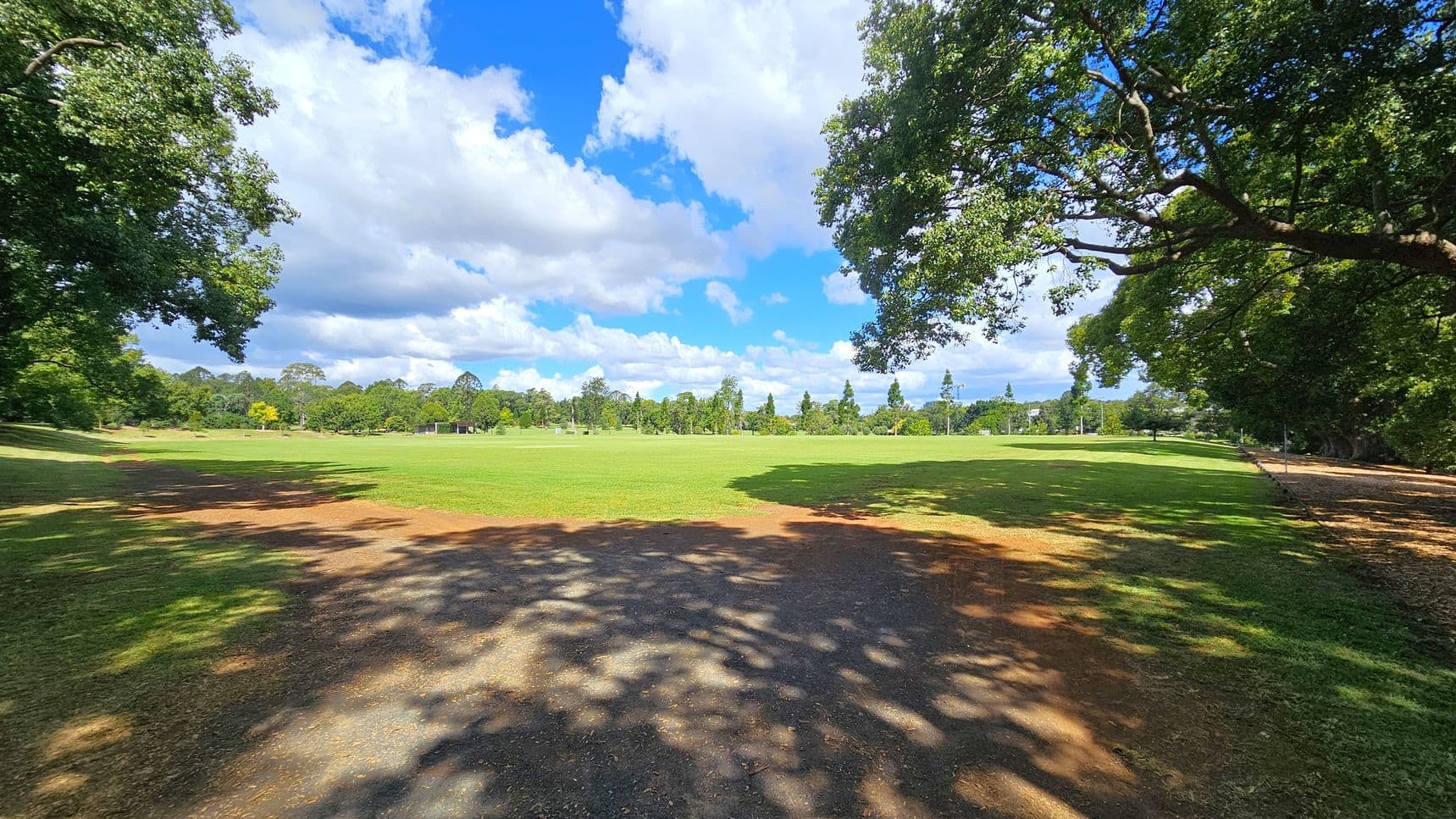 A wide, open grassy field stretches across the centre, bordered by trees in the background. On the left and right, large trees with dense foliage cast shadows on the ground. The foreground features a dirt path with patches of grass, and dappled sunlight creates patterns on the ground.