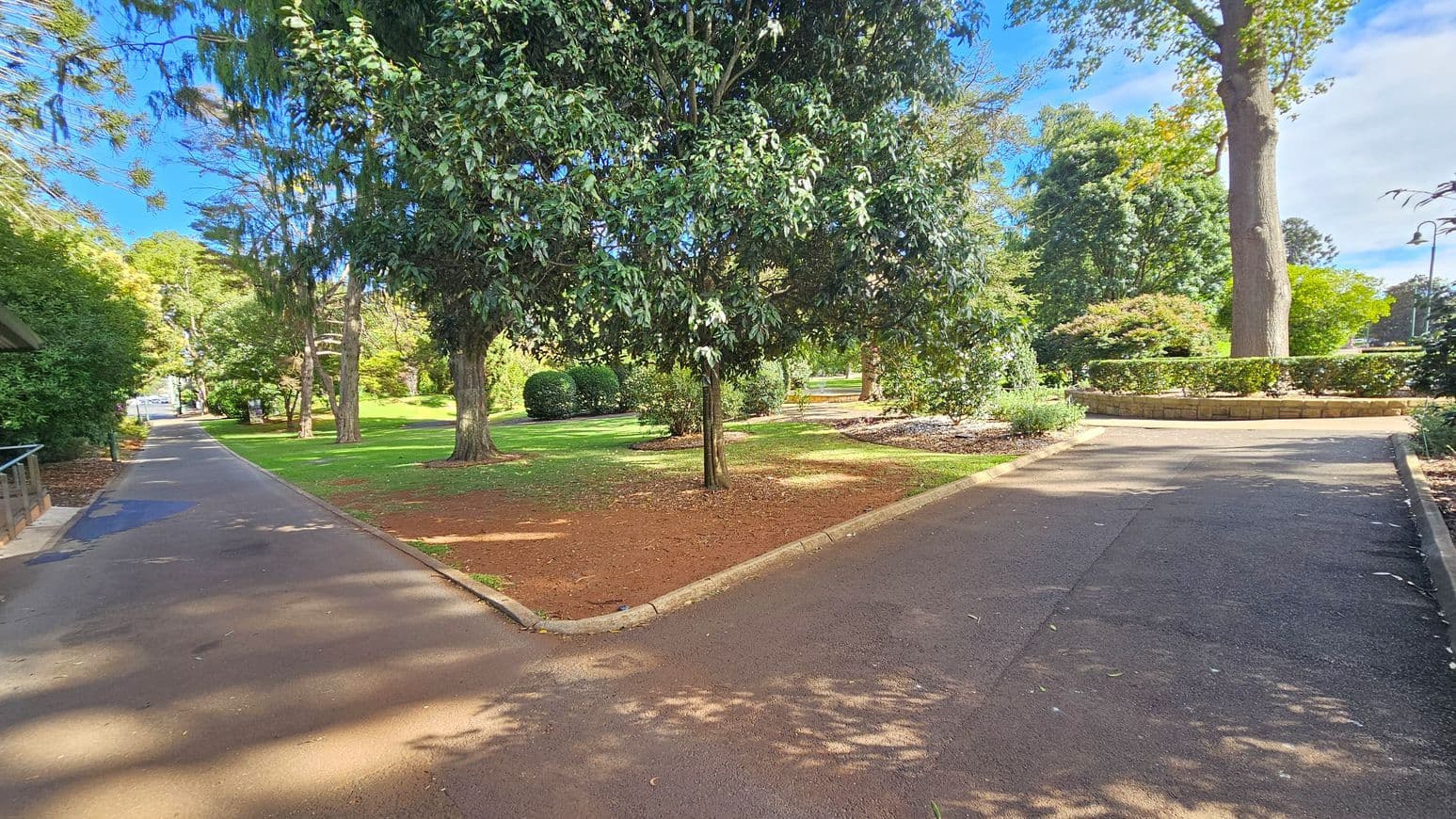 A park scene with two paved paths diverging. The left path is bordered by dense greenery and leads into a shaded area with more trees. The right path curves slightly, flanked by a low stone wall and trimmed bushes. In the centre, a large tree stands on a grassy patch with scattered leaves. The background is filled with various trees and shrubs, creating a lush, green environment. Shadows from the trees are cast on the paths.