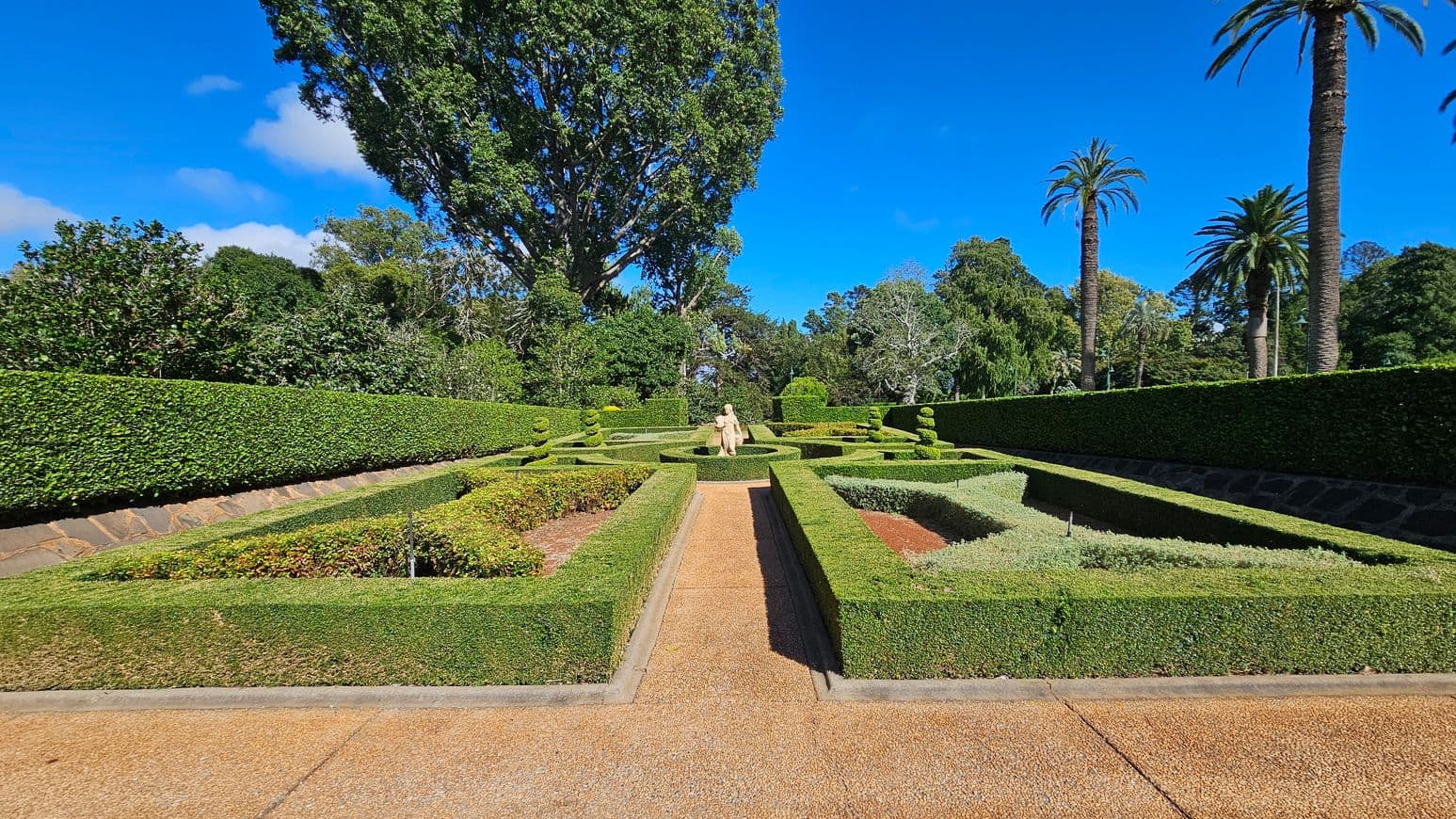 A formal garden with neatly trimmed hedges and geometric patterns. In the centre, a person walks along a path lined with low hedges. Tall trees, including palm trees, are in the background, providing a lush backdrop. The ground is covered with a reddish-brown gravel path, and the hedges are meticulously maintained. The garden is surrounded by a taller hedge, adding to the enclosed, manicured appearance.