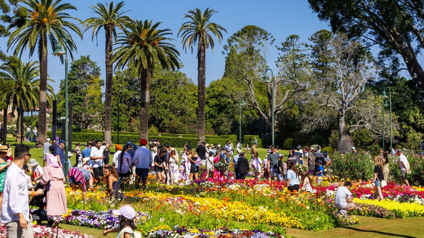 A vibrant garden scene with numerous people walking and gathering among colourful flower beds in the foreground. The flowers are in full bloom, displaying a variety of colours including yellow, red, purple, and white. Tall palm trees and lush green trees form the background, providing shade and a tropical atmosphere. The area is well-maintained with neatly trimmed grass and hedges. Several lamp posts are visible, adding to the park-like setting.