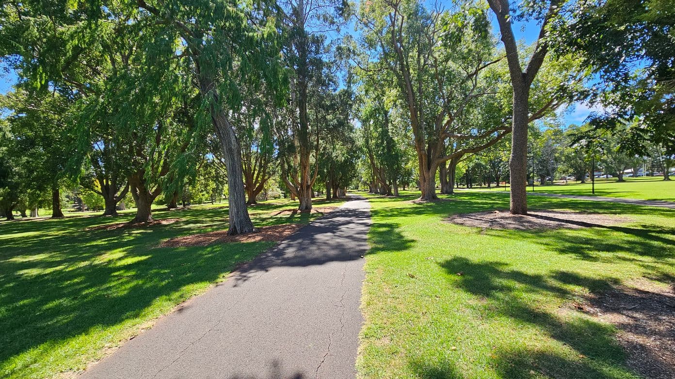 A paved path runs through the centre of a park, flanked by lush green grass. Tall trees with dense foliage line both sides, casting dappled shadows on the ground. The trees are spaced evenly, creating a natural canopy over the path. Sunlight filters through the leaves, illuminating patches of the grass. The scene is tranquil and inviting, with a sense of depth as the path stretches into the distance.