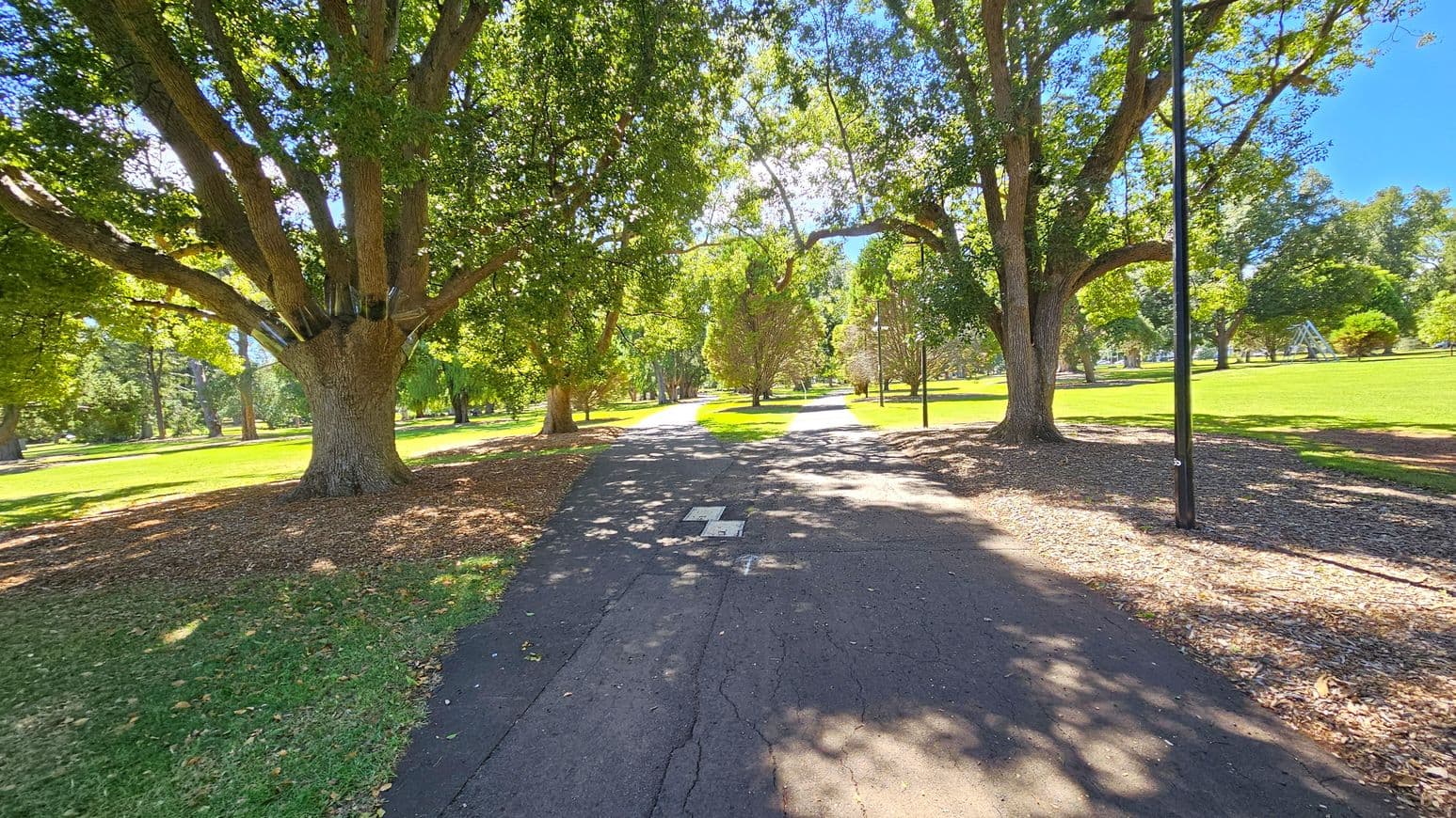 A paved path runs through a park, flanked by large, leafy trees casting dappled shadows on the ground. On the left, a prominent tree with a thick trunk stands near the path. On the right, a tall lamppost is visible beside another large tree. The grass is lush and green, with patches of fallen leaves and mulch around the tree bases. In the background, more trees and open grassy areas are visible under a clear sky.