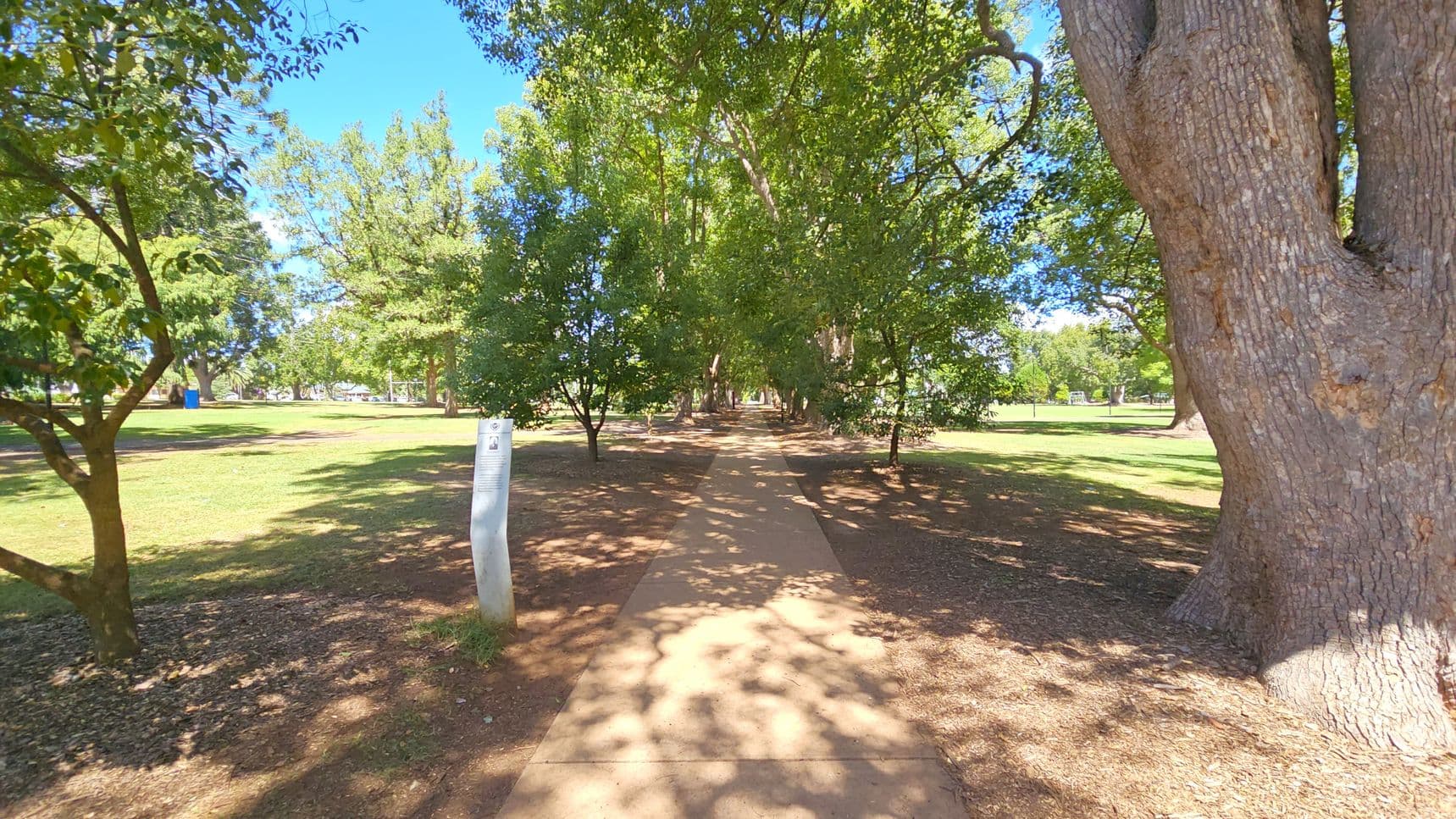 A paved path runs through a park, flanked by tall trees providing shade. On the left, a small tree and a curved informational sign are visible. To the right, a large tree trunk stands prominently. The ground is a mix of grass and dirt, with dappled sunlight filtering through the leaves. In the background, more trees and open grassy areas can be seen.