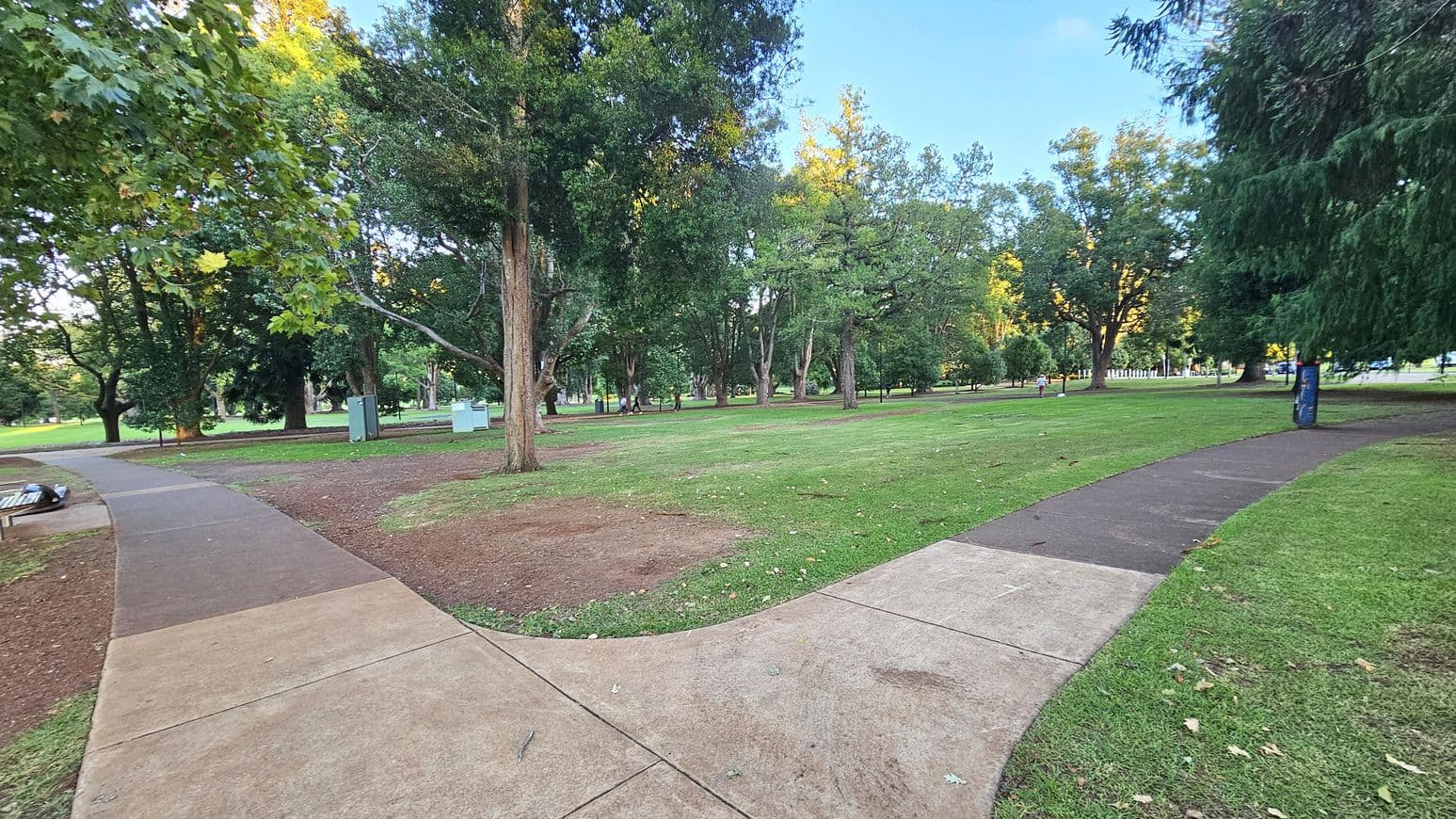A park with a paved path curving from the foreground to the left and right. The ground is a mix of grass and bare patches. Tall trees with dense foliage are scattered throughout, providing shade. A bench is visible on the left, and a person is walking in the distance on the right. A blue bin is near the path on the right. The background is filled with more trees and open grassy areas.
