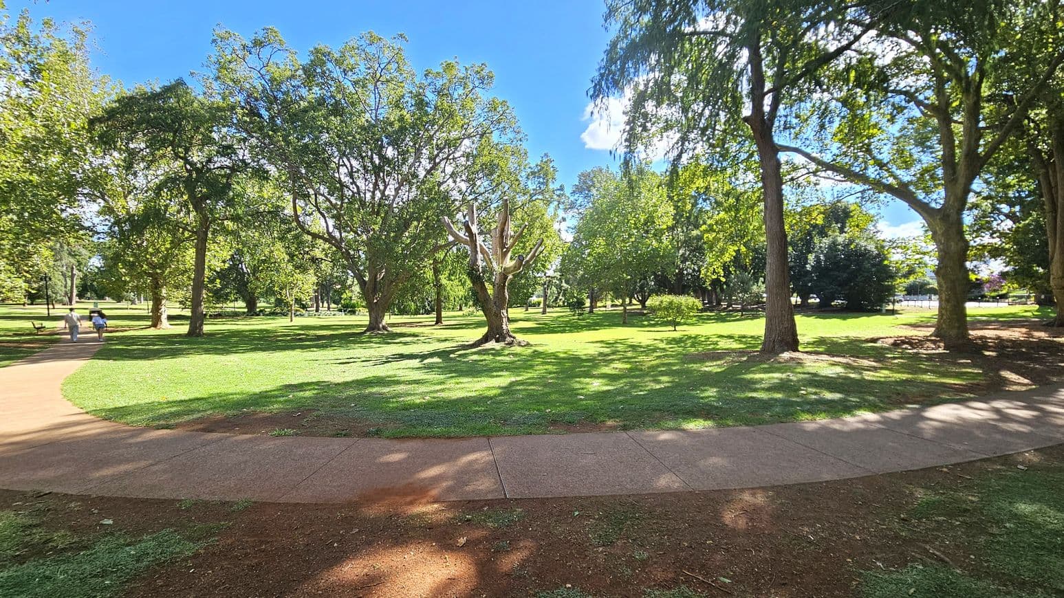 A park scene with a curved pathway in the foreground, bordered by grass. On the left, two people walk along the path. The middle features a variety of trees, including one with a distinctive bare trunk. The right side has more trees casting shadows on the grass. The background is filled with lush greenery and more trees, creating a serene, natural setting.