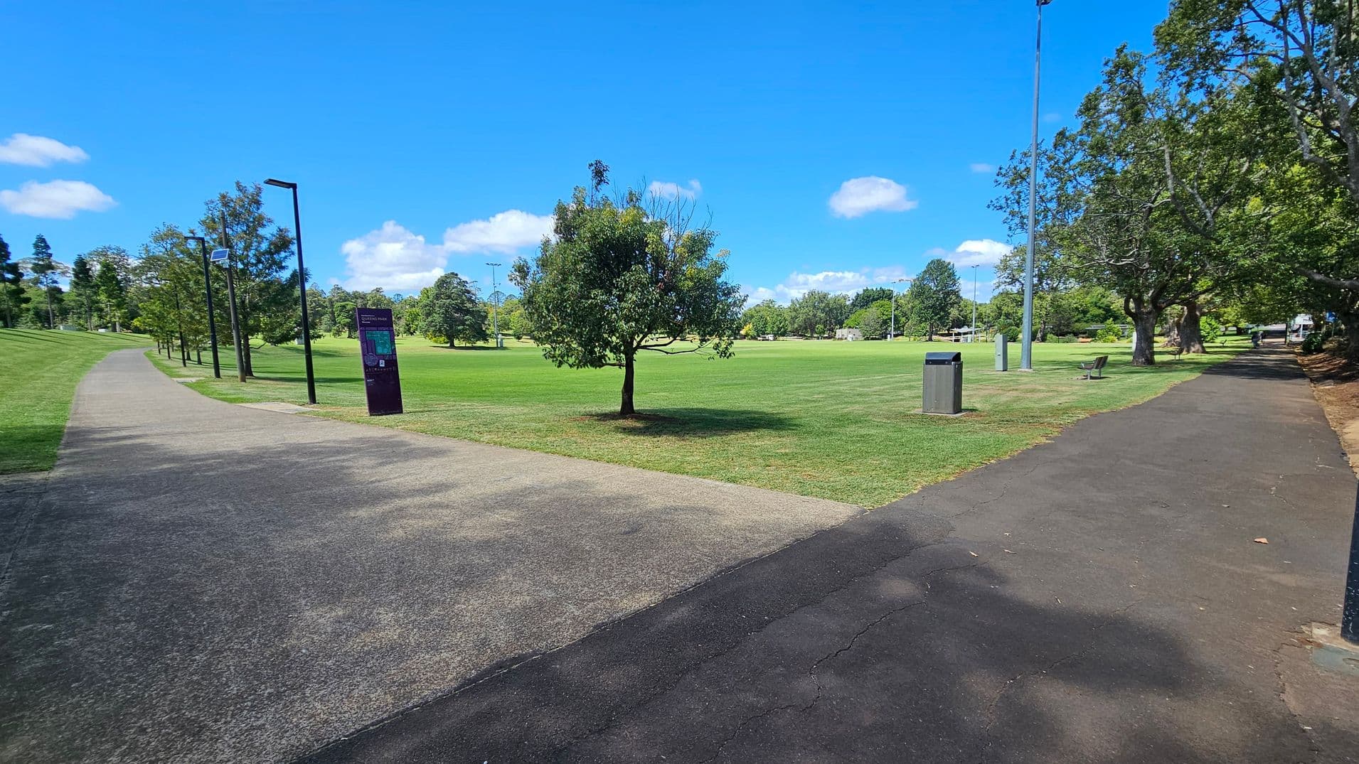 A park with two paved pathways diverging. The left path is bordered by a row of trees and lamp posts, with a sign visible. The right path is shaded by larger trees and has a bench and a bin nearby. In the centre, a lone tree stands on a grassy field. The background features more trees and open green space.