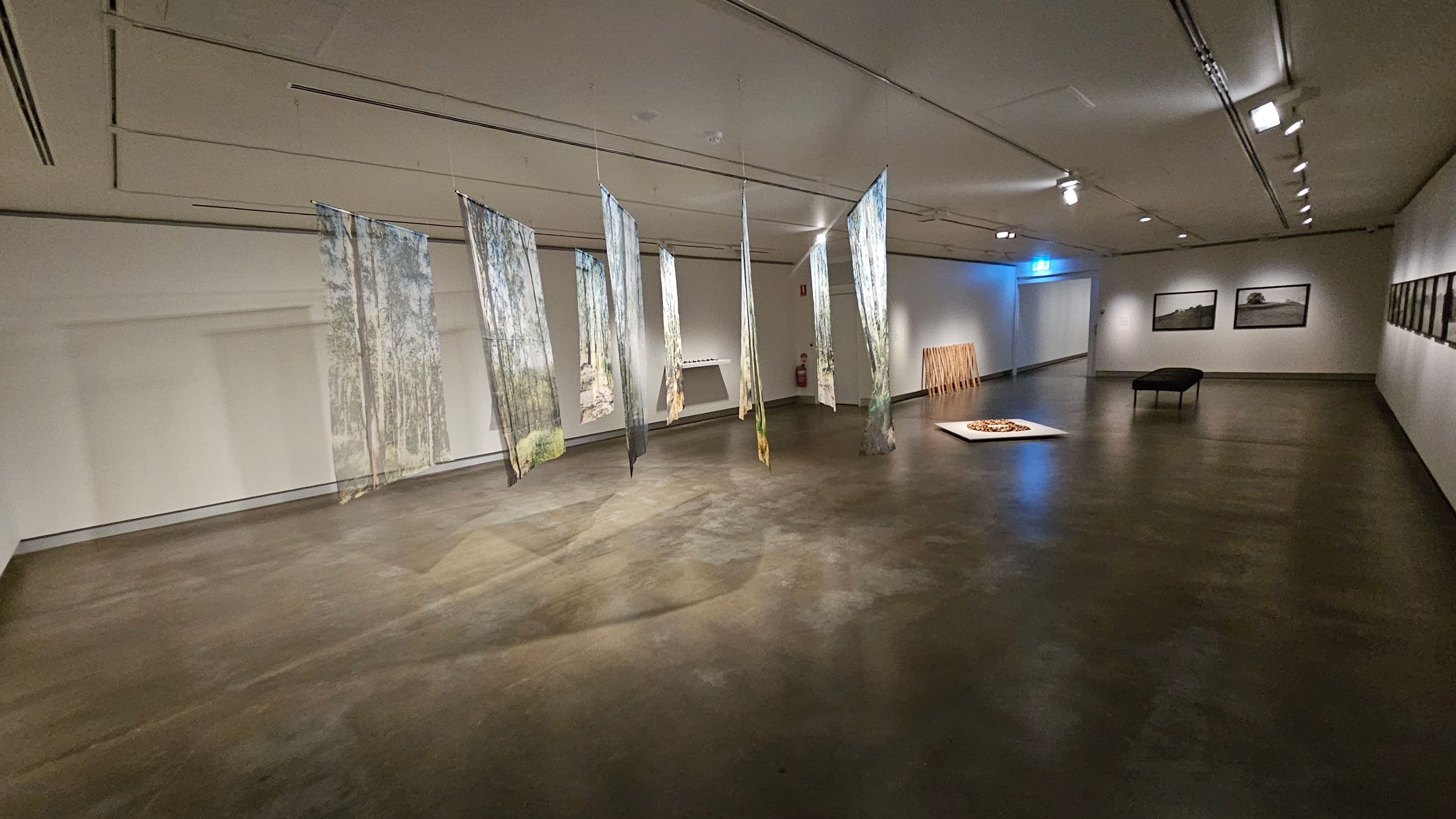 A spacious gallery with a polished brown floor and a ceiling with recessed lighting. In the centre, several vertical fabric panels hang, each printed with images of trees. To the right, a black bench sits near framed landscape photographs on the wall. In the background, a doorway is illuminated with blue light, and a wooden installation and a flat artwork on the floor are visible. The walls are light-coloured, enhancing the display of the artworks.