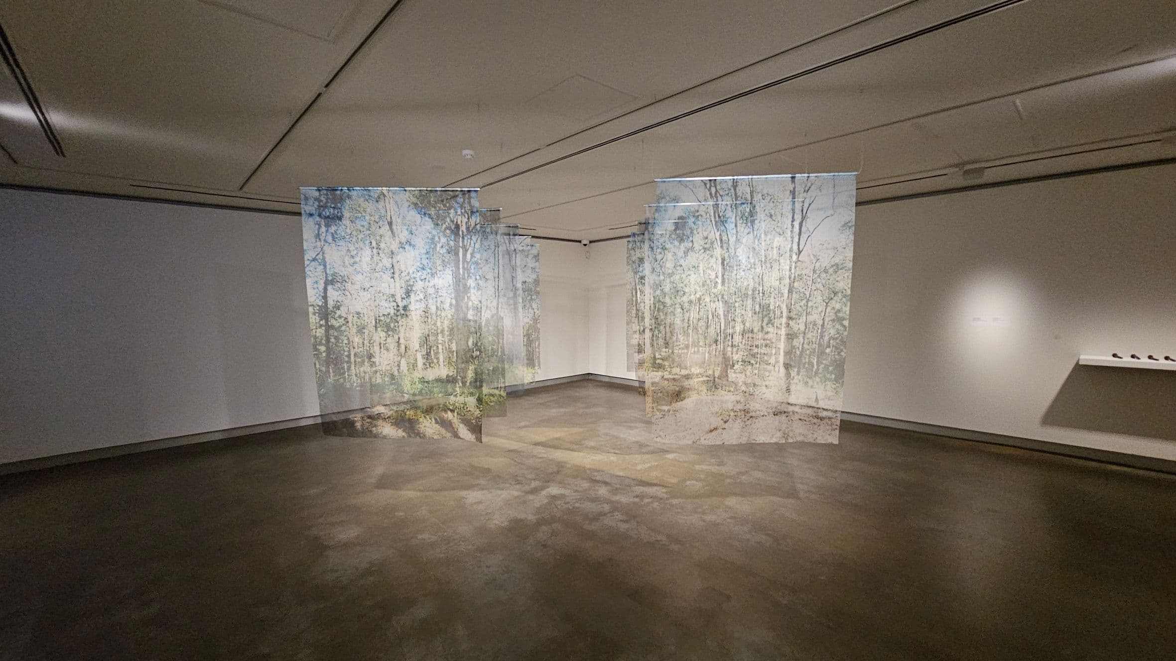 A gallery space with a polished concrete floor and a white ceiling featuring recessed lighting. In the centre, two large, semi-transparent panels display images of a forest scene with trees and greenery. The left wall is plain, while the right wall has a small shelf with several dark objects. The background wall is bare, with a spotlight illuminating a small area.